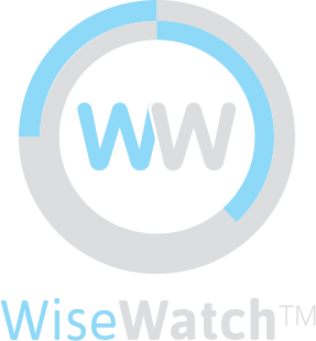 DTWISE Wise Watch Logo